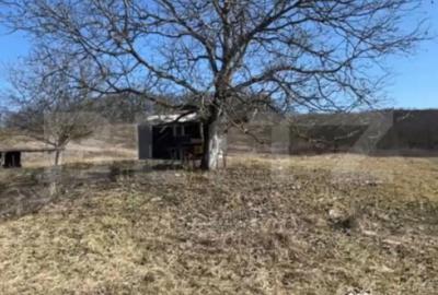 Teren de 20000 mp, în Central - 8