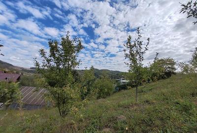 Teren de 5400 mp, în Drăgăneasa - 3