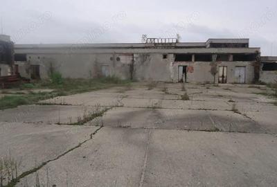 Hala depozitare / produc?ie, 10000 mp - 5