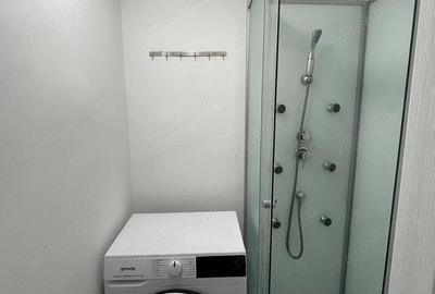 Garsonieră semidecomandată, mobilată în Ozana - 4