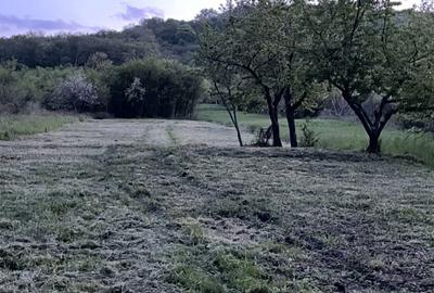 Spațiu comercial, în Central - 5