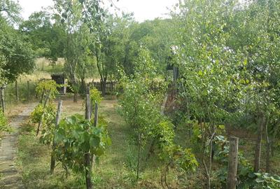 Casă cu 5 camere cu Teren 3200 Mp în Stângăceaua - 3