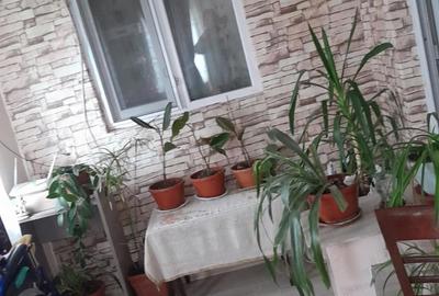 Casă cu 3 camere cu Teren 1200 Mp în Tudor Vladimirescu - 9