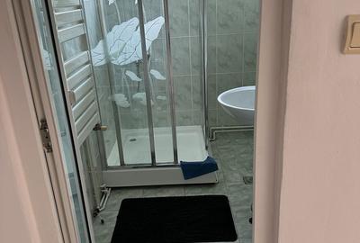 Apartament cu 2 camere semidecomandat, mobilat în Central - 5