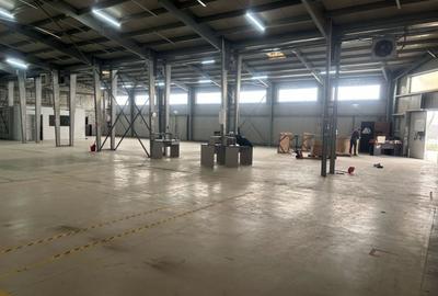 De Inchiriat! Hala depozit si birouri - 3