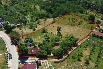 Teren de vanzare in comuna Cicane?ti, sat Bara?ti, jude? Arge?. - 2