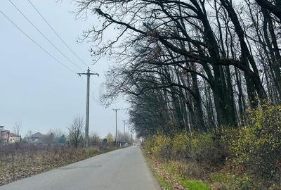 REL4001232 Teren de vanzare in Corbeanca - 1