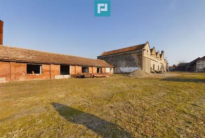 Teren ?i hale pe Calea Aradului din Periam Teren ?i hale pe Calea Aradului din Periam - 5