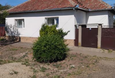 Casă cu Teren 1328 Mp în Macea