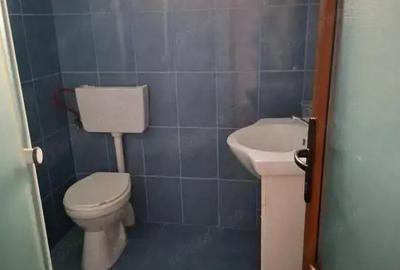 VILA S+P+E+M cu SPATIU COMERCIAL central in Nadlac - 11