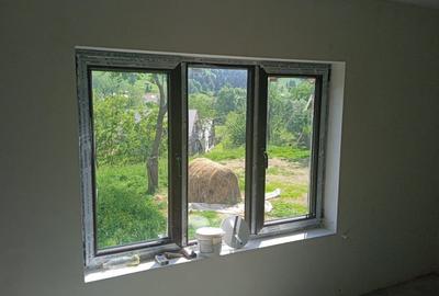 Casă cu teren 10000 mp - 10