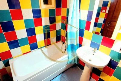 Oferim spre inchiriere apartament 1 camera, spatios, aproape de Sp. Judetean - 19