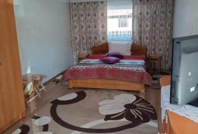 Casă cu 4 camere cu Teren 5200 Mp în Rădăuți - 3