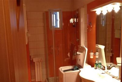 Garsoniera zona tei parc plumbuita - 3