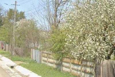 Casă cu Teren 6250 Mp în Filipești - 2