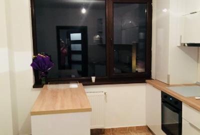 Casa Chiajna P-etaj1-mansarda Luceafarului - 8