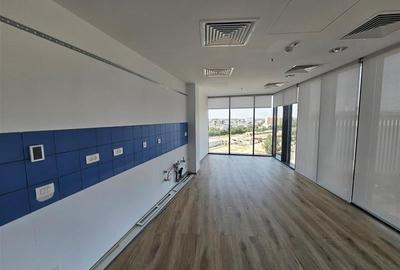 Inchirieri birouri in GlobalWorth Plaza  - de la 321 mp - 16