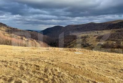 Teren în Muntele Băișorii - 1