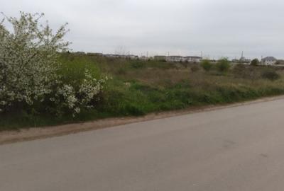 Teren construcție, în Bragadiru