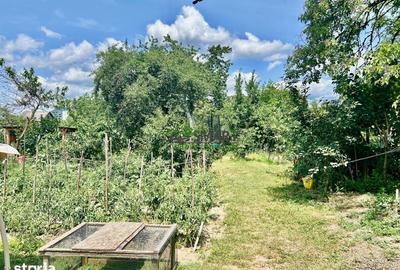 Casă cu 3 camere cu Teren 1100 Mp în Vasile Alecsandri