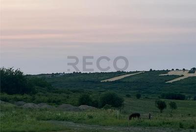 Teren de 903 mp, în Paleu - 6
