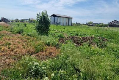 Teren de 304 mp, în Berceni - 2