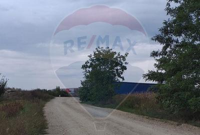 Teren de 3000 mp, în Borș - 5