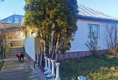Casă cu 4 camere în Valea Mare-Pravăț - 6