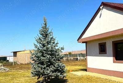 Casă cu 4 camere cu Teren 2000 Mp în Mihail Kogălniceanu