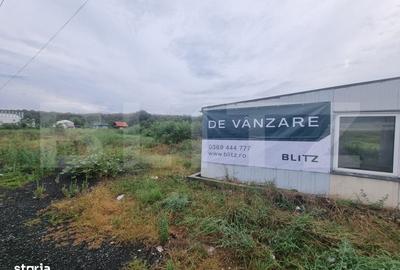 Spațiu comercial, în Colonia Tălmaciu