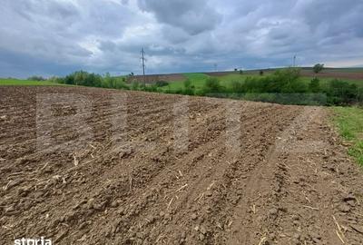 Teren de 5000 mp, în Bosanci - 5
