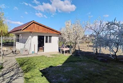 Casă cu 4 camere cu Teren 1600 Mp în Valea Stânii - 5