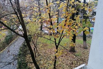 Apartament cu 4 camere decomandat în Sălăjan - 6