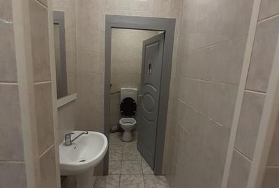 Spațiu industrial, de 550 mp, în Theodor Pallady - 9