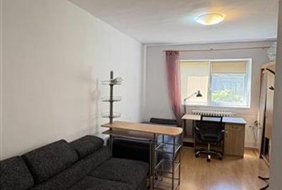 Apartament cu 2 camere circular, mobilat în Gruia - 4