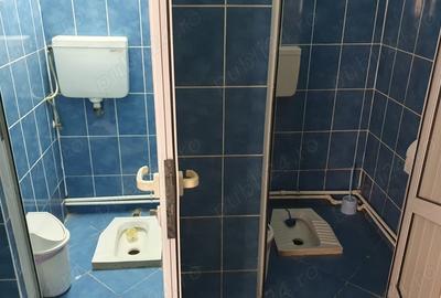 Spațiu comercial, de 236 mp, în Slătioara - 3