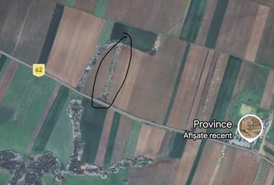 Teren de 5800 mp, în Pișchia - 1