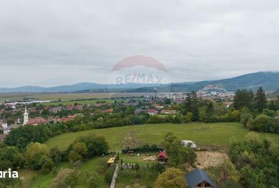 Teren de 3175 mp, în Poiana Angelescu - 5