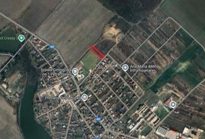 Teren agricol extravilan de 4000 mp, în Petrăchioaia - 4