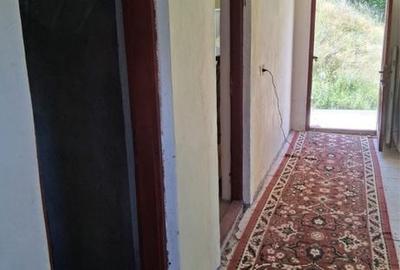 Casă cu 2 camere cu Teren 5000 Mp în Central