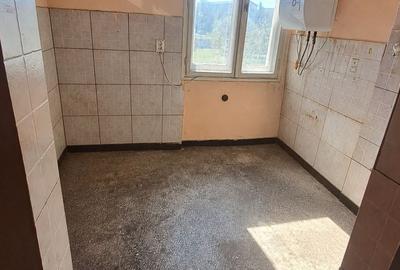 Apartament cu 2 camere decomandat în Valea Borcutului