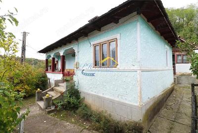 Casă cu 3 camere cu Teren 4930 Mp în Aluniș - 2