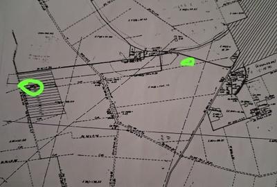 Teren agricol extravilan de 500 mp, în Central - 1
