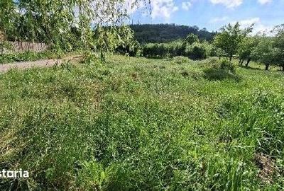 Teren de 968 mp, în Găiceana - 2