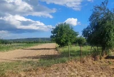 Teren de 3000 mp, în Telești - 1