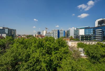 Apartament cu 4 camere decomandat în P-ța Victoriei - 22