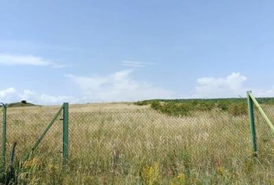 Teren agricol extravilan de 4527 mp, în Exterior Nord - 6