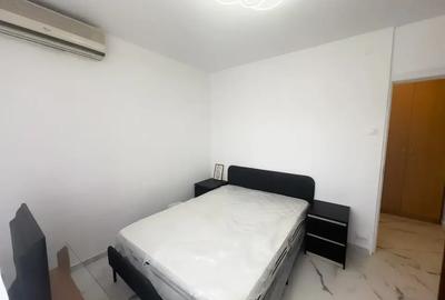 Apartament cu 3 camere decomandat, mobilat în Banu Manta - 13
