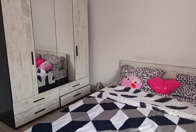 Apartament cu 2 camere decomandat în Rovine