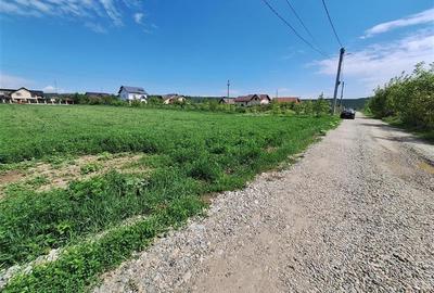Teren Construcții intravilan de 3177 mp, în Șerbănești - 5